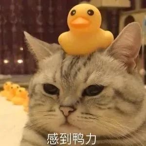 关于丁丁的问题,男女都有必要了解一下