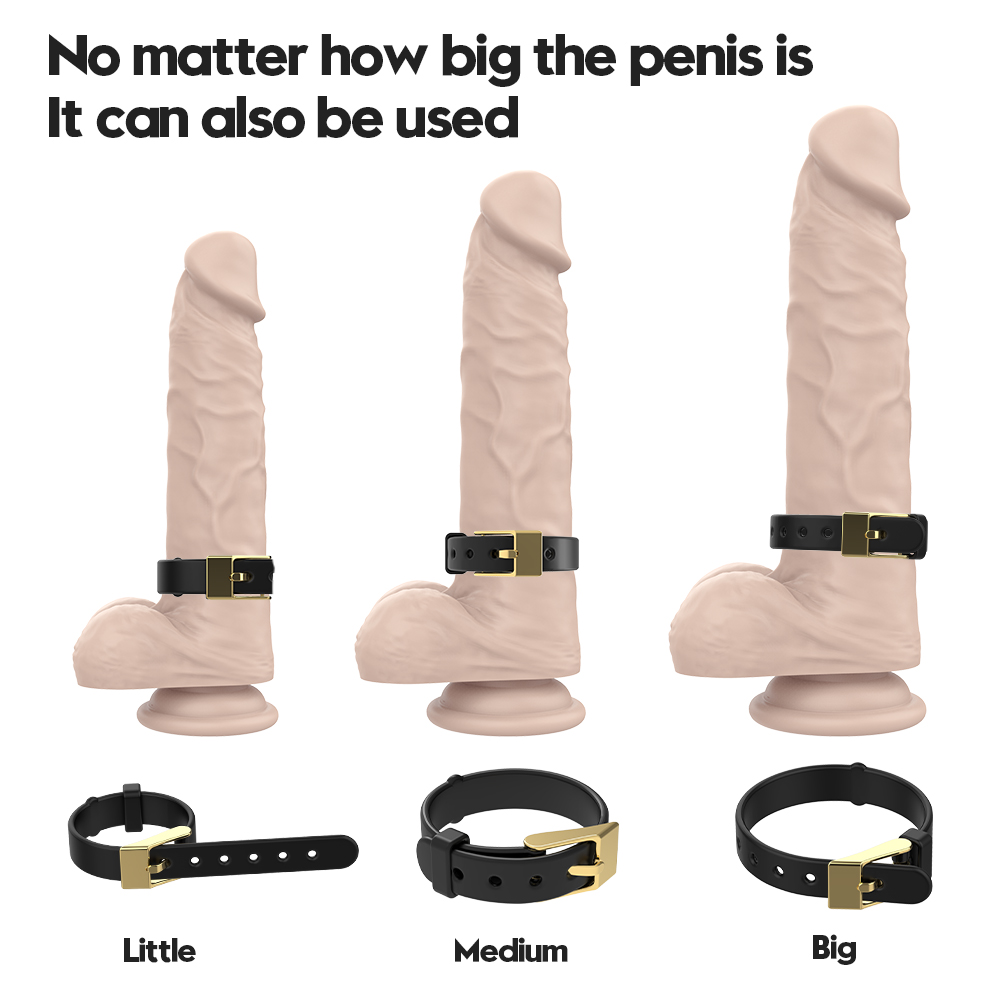 趣爱阁-成人用品哪里有批发市场：斯汉德SHD-S450 Choker女王